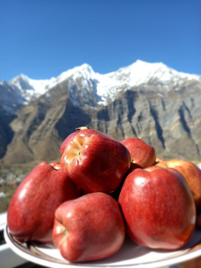 Lahaul Home Stay Sumnam Tandi Εξωτερικό φωτογραφία